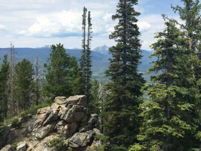 Living Well: Michelle Galins Image
